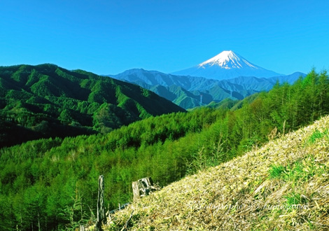 20040429-kamihikawa4590